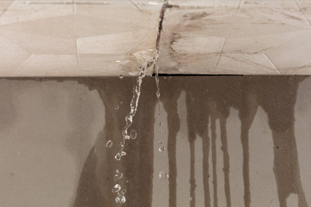 Professional Structural Drying technician working in Brookdale, NJ